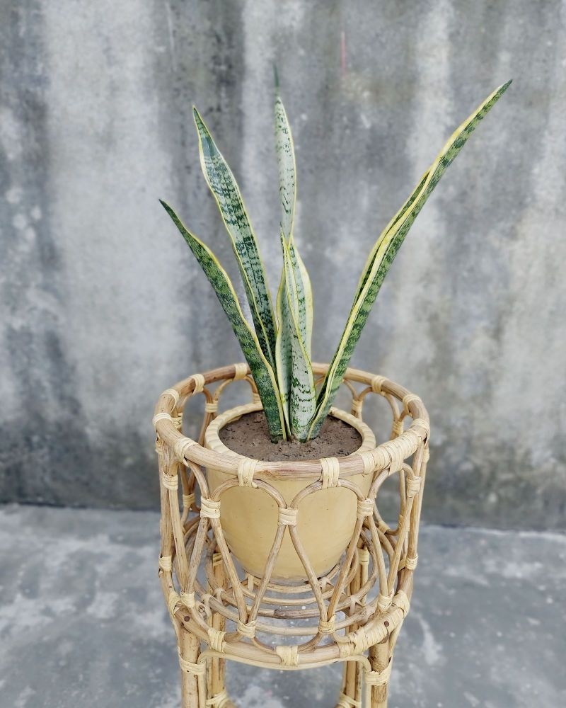 Product gallery undefined